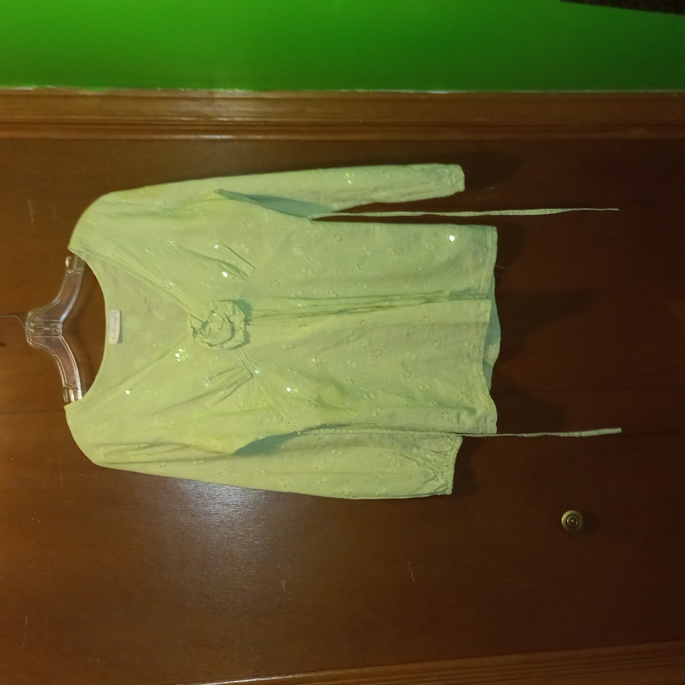 JUS D'ORANGE PARIS Green top with Sequins. Size 4.